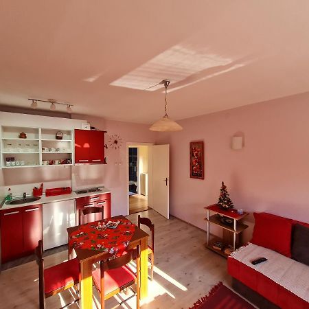 Apartman "Nina" Sokobanja Buitenkant foto