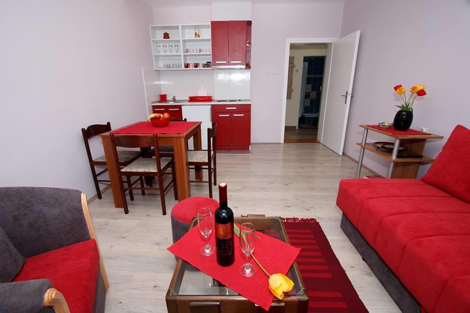 Apartman "Nina" Sokobanja Buitenkant foto